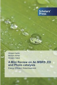 bokomslag A Mini Review on An MBRS, ED and Photo catalysis