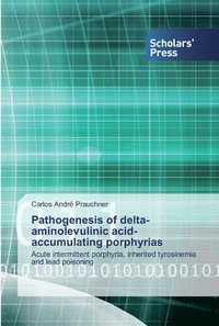 bokomslag Pathogenesis of delta-aminolevulinic acid-accumulating porphyrias