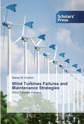 Wind Turbines Failures and Maintenance Strategies 1