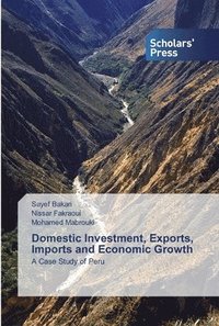 bokomslag Domestic Investment, Exports, Imports and Economic Growth