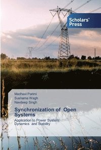 bokomslag Synchronization of Open Systems