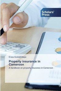bokomslag Property insurance in Cameroon