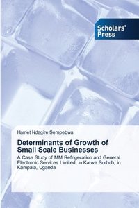 bokomslag Determinants of Growth of Small Scale Businesses