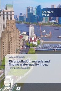 bokomslag River pollution analysis and finding water quality index