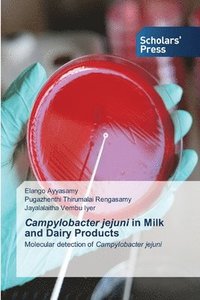 bokomslag Campylobacter jejuni in Milk and Dairy Products