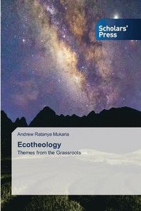 bokomslag Ecotheology