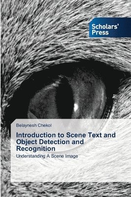 bokomslag Introduction to Scene Text and Object Detection and Recognition