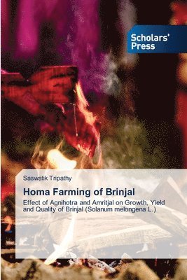 bokomslag Homa Farming of Brinjal