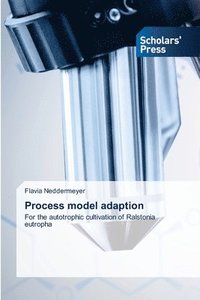 bokomslag Process model adaption