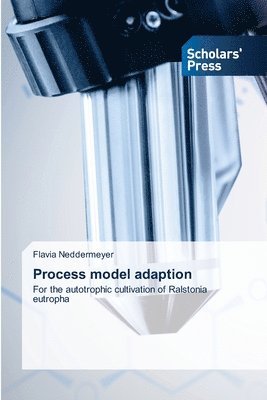 Process model adaption 1