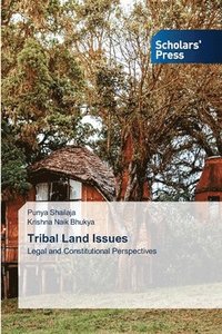 bokomslag Tribal Land Issues