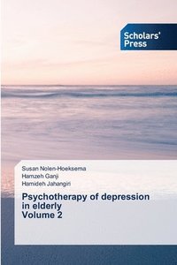 bokomslag Psychotherapy of depression in elderly Volume 2