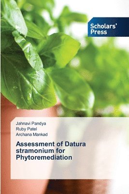 Assessment of Datura stramonium for Phytoremediation 1