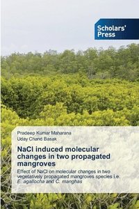 bokomslag NaCl induced molecular changes in two propagated mangroves