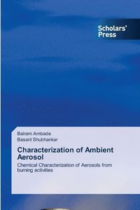 bokomslag Characterization of Ambient Aerosol