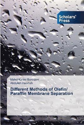 bokomslag Different Methods of Olefin/ Paraffin Membrane Separation