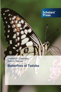 bokomslag Butterflies of Tadoba