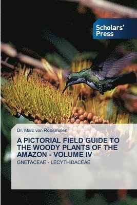 bokomslag Pictorial Field Guide to the Woody Plants of the Amazon - Volume IV