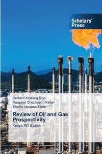 bokomslag Review of Oil and Gas Prospectivity