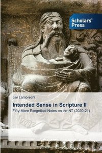 bokomslag Intended Sense in Scripture II