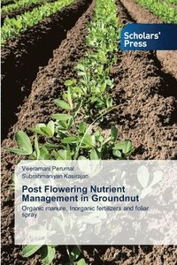 bokomslag Post Flowering Nutrient Management in Groundnut