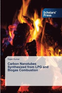 bokomslag Carbon Nanotubes Synthesized from LPG and Biogas Combustion