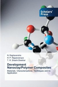 bokomslag Development Nanoclay/Polymer Composites