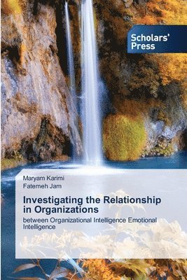 Investigating the Relationship in Organizations 1