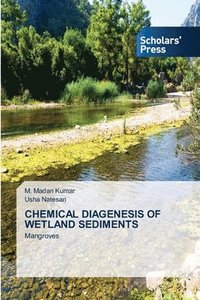 bokomslag Chemical Diagenesis of Wetland Sediments