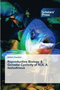 bokomslag Reproductive Biology & Gonadal Cyclicity of KOI, A. testudineus
