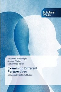 bokomslag Examining Different Perspectives