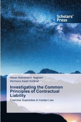 Investigating the Common Principles of Contractual Liability 1