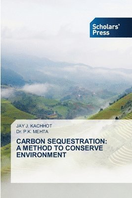 bokomslag Carbon Sequestration