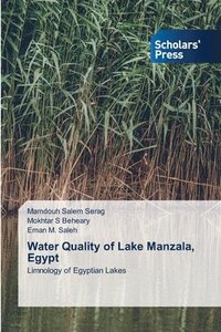 bokomslag Water Quality of Lake Manzala, Egypt