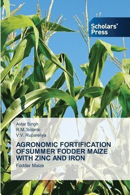 Agronomic Fortification Ofsummer Fodder Maize with Zinc and Iron 1