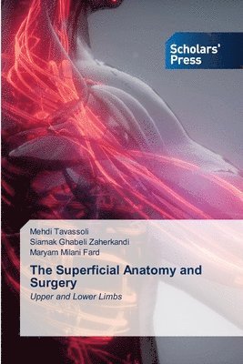The Superficial Anatomy and Surgery 1