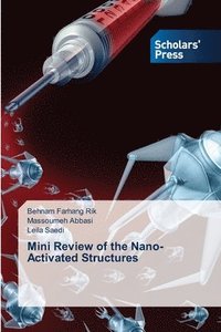 bokomslag Mini Review of the Nano-Activated Structures