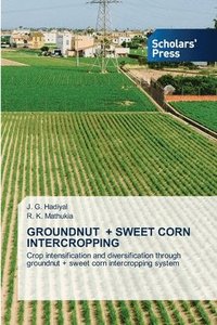 bokomslag Groundnut + Sweet Corn Intercropping