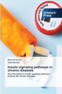 bokomslag Insulin signaling pathways in chronic diseases