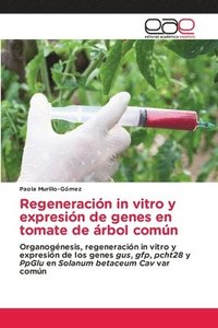 bokomslag Regeneración in vitro y expresión de genes en tomate de árbol común