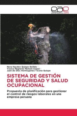 Sistema de gestión de seguridad y salud ocupacional