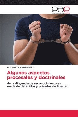 bokomslag Algunos aspectos procesales y doctrinales