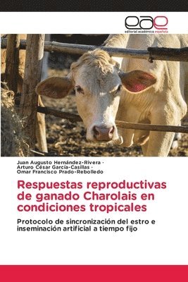 bokomslag Respuestas reproductivas de ganado Charolais en condiciones tropicales