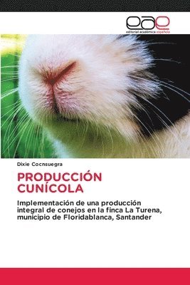 Produccin Cuncola 1