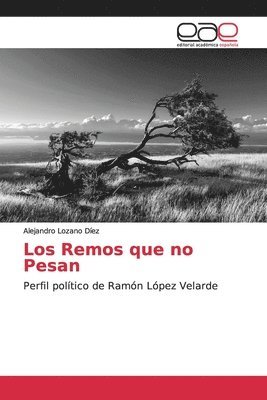 bokomslag Los Remos que no Pesan