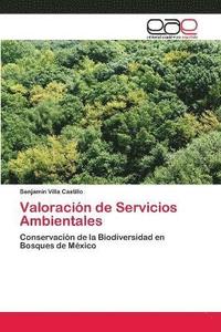 bokomslag Valoracin de Servicios Ambientales