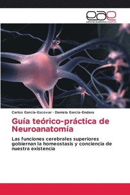 bokomslag Gua terico-prctica de Neuroanatoma