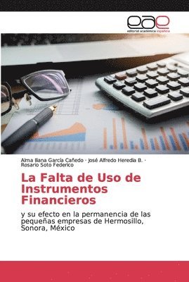 bokomslag La Falta de Uso de Instrumentos Financieros