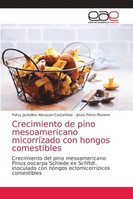 Crecimiento de pino mesoamericano micorrzado con hongos comestibles 1