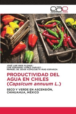 bokomslag PRODUCTIVIDAD DEL AGUA EN CHILES (Capsicum annuum L.)